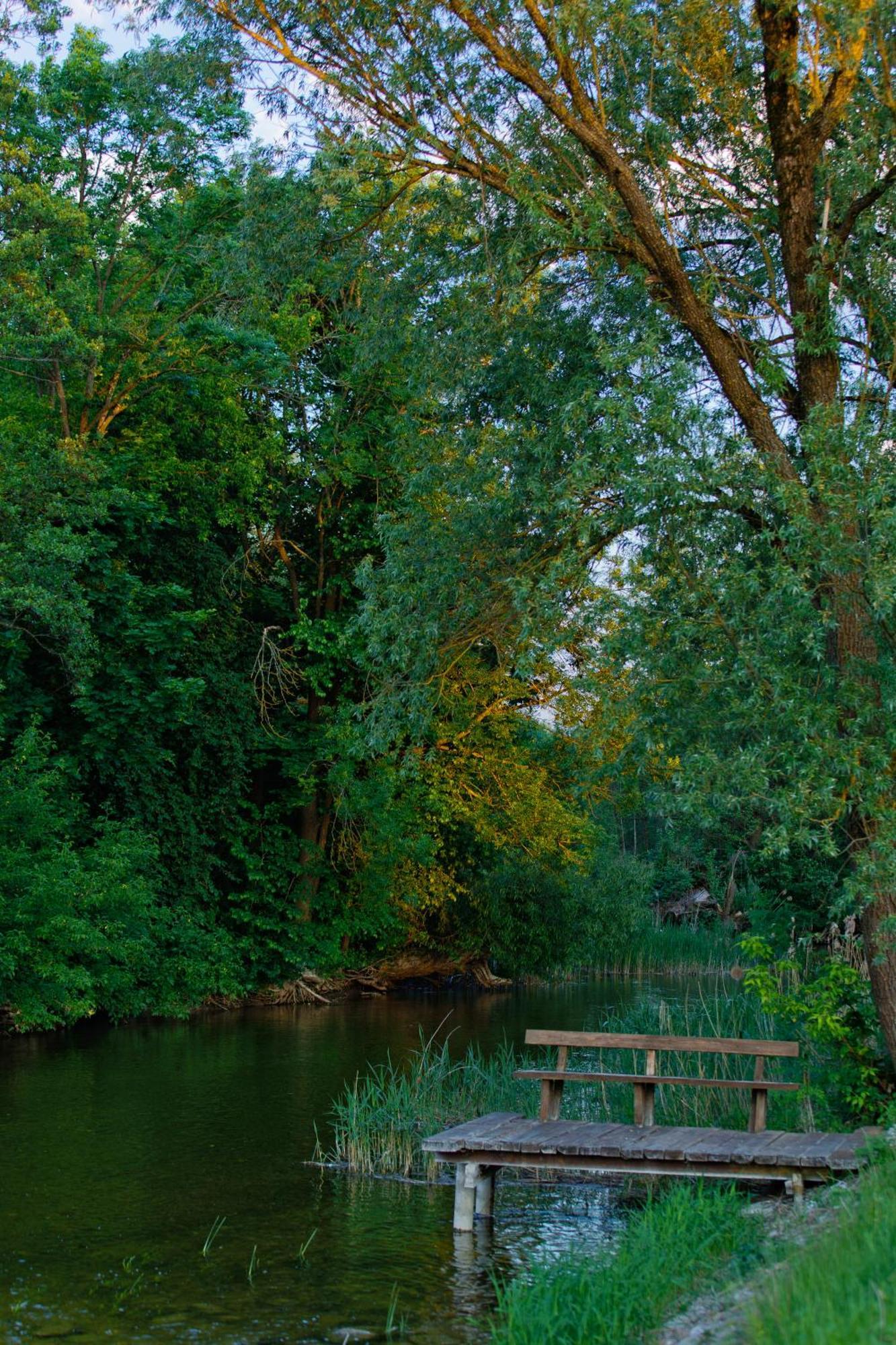 Zakatek River Rajgród Exteriör bild